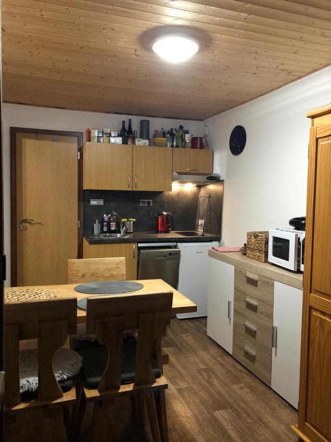 Apartman S Vyhledem Na Jezerni Stenu Železná Ruda 外观 照片