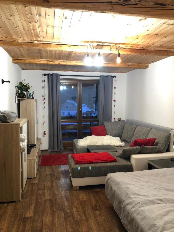 Apartman S Vyhledem Na Jezerni Stenu Železná Ruda 外观 照片