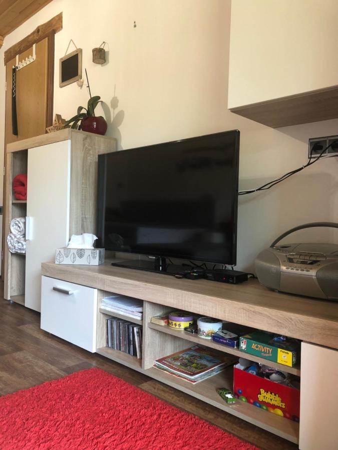 Apartman S Vyhledem Na Jezerni Stenu Železná Ruda 外观 照片