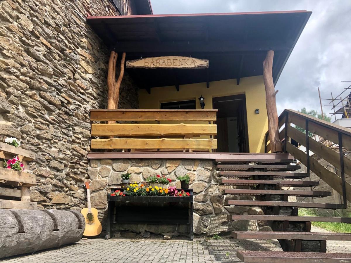Apartman S Vyhledem Na Jezerni Stenu Železná Ruda 外观 照片