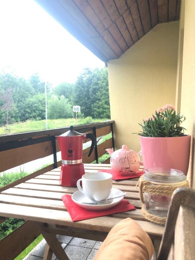 Apartman S Vyhledem Na Jezerni Stenu Železná Ruda 外观 照片