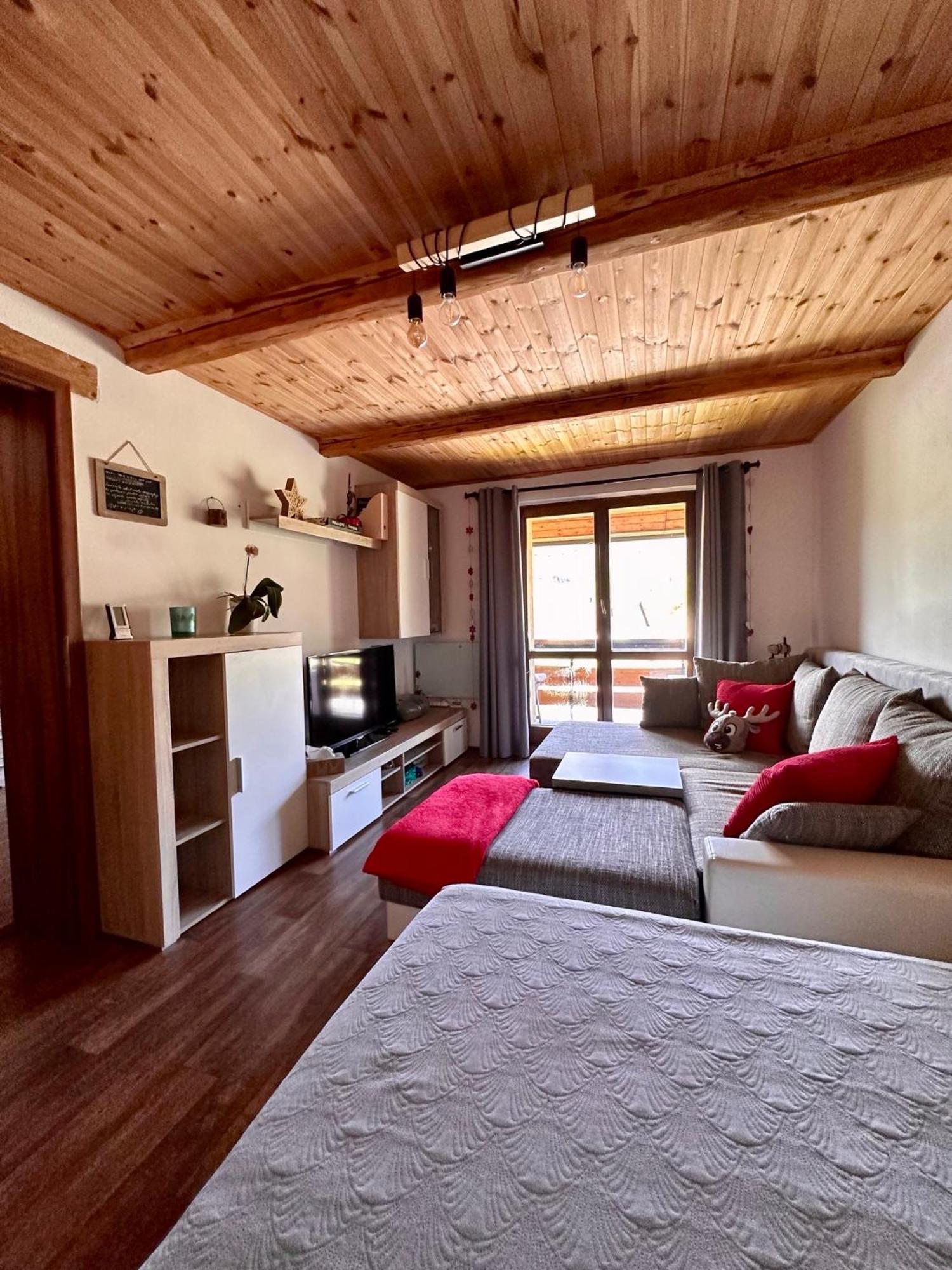Apartman S Vyhledem Na Jezerni Stenu Železná Ruda 外观 照片